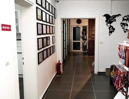 VetEva Veteriner Kliniği