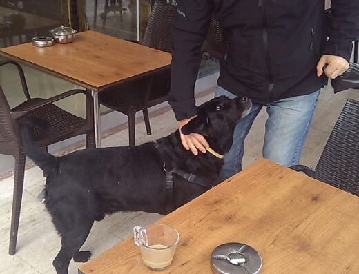 Anıl Börek Salonu