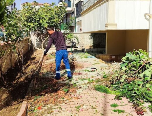 Büyükçekmece Peyzaj ve bahçe bakım