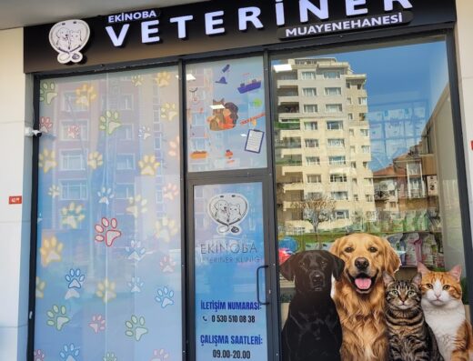 Ekinoba Veteriner Kliniği