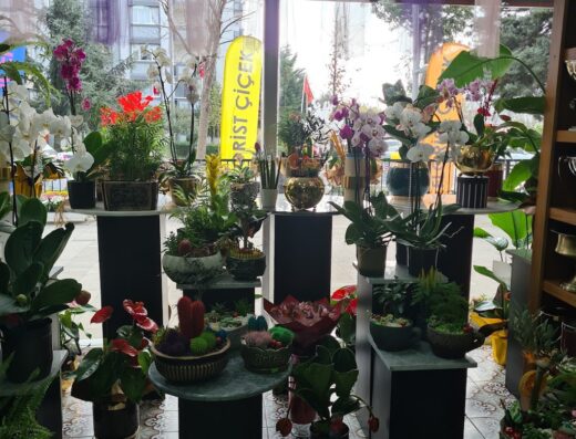 Florist Çiçekçilik