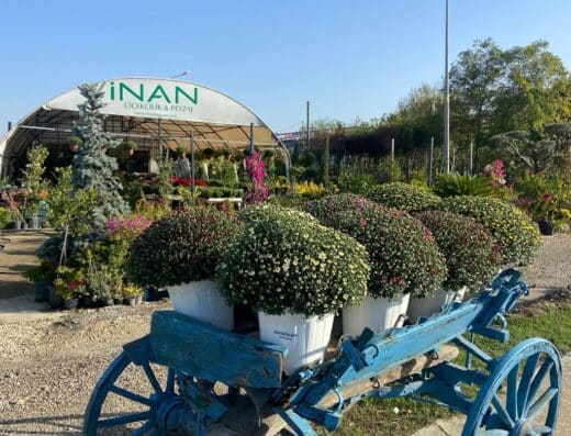 İnan Çiçekcilik ve peyzaj