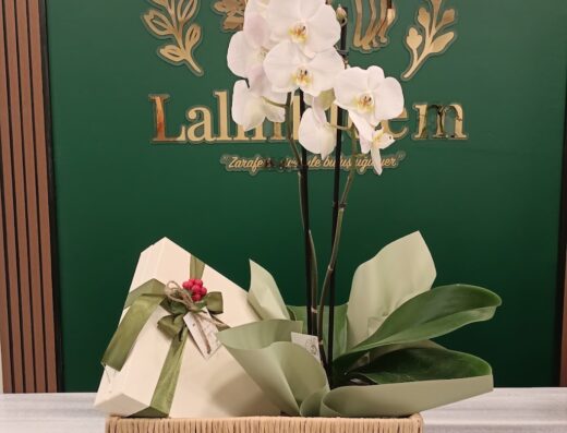 LalinBloem Çiçek & Çikolata