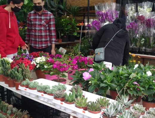 EXPO 34 Alışveriş Merkezi