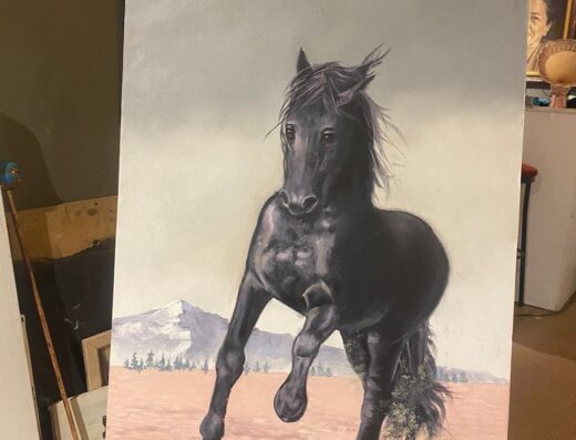 HAVVA Sanat Evi